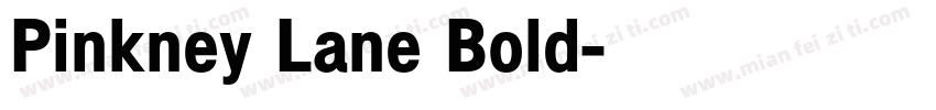 Pinkney Lane Bold字体转换
